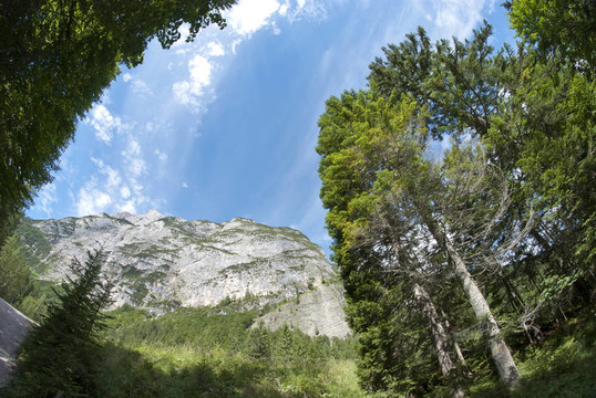 Dolomites Woods；意大利