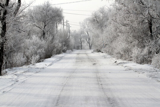 霧凇 冬天 雪景 玉樹瓊枝