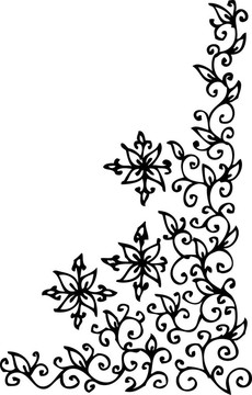 花的小插曲