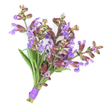 丹參花花束
