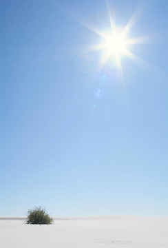 太陽；沙丘和草地