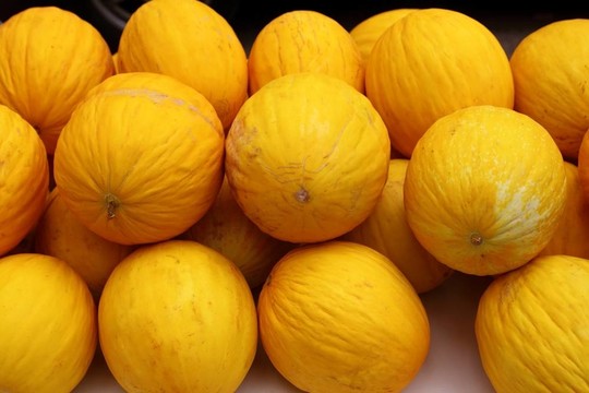 淡黃色的瓜indorus甜瓜市場堆疊