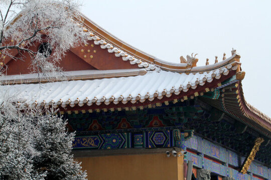 寺廟 建筑 雪 霧凇冬天 雪景