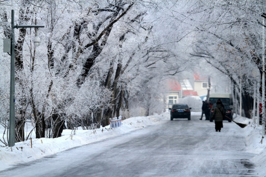 霧凇 冬天 雪景 玉樹瓊枝
