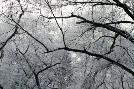 霧凇 冬天 雪景