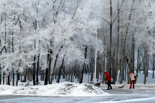 霧凇 冬天 雪景