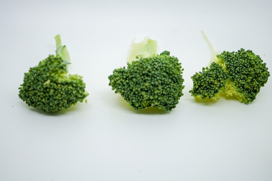 西蘭花高清 西蘭花素材