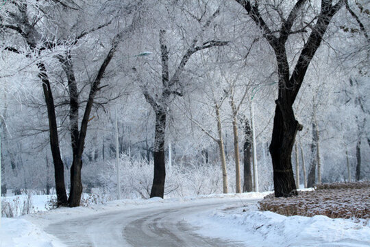 霧凇 冬天 雪景