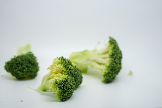 西蘭花高清 西蘭花素材