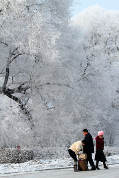 霧凇 冬天 雪景