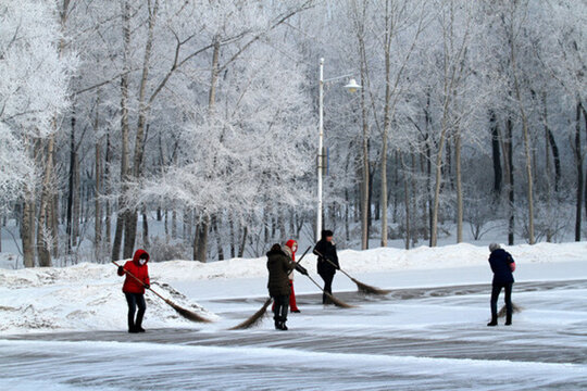 霧凇 冬天 雪景 玉樹瓊枝 冰