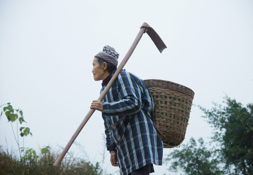 拿鋤頭的老人