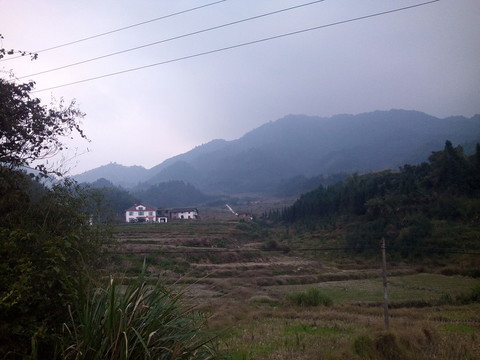 田野風景