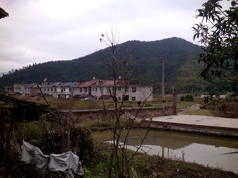 田園風光