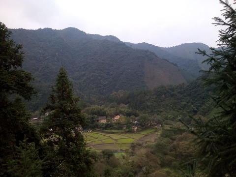 山中田園