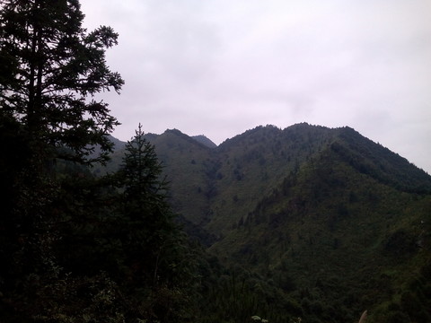 遠望青山