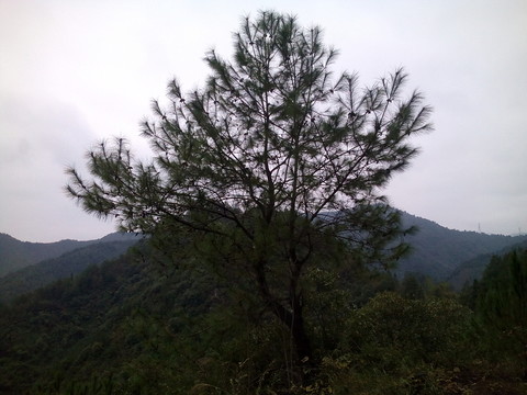 群山