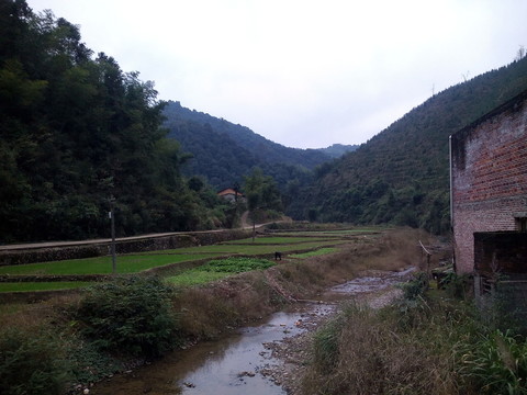鄉(xiāng)村風景