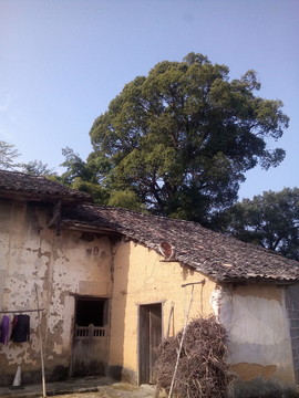 農(nóng)家宅院