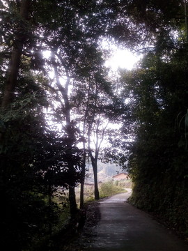 鄉(xiāng)村水泥路