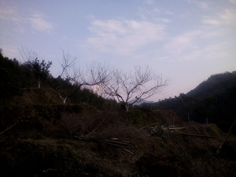 山坡風(fēng)景