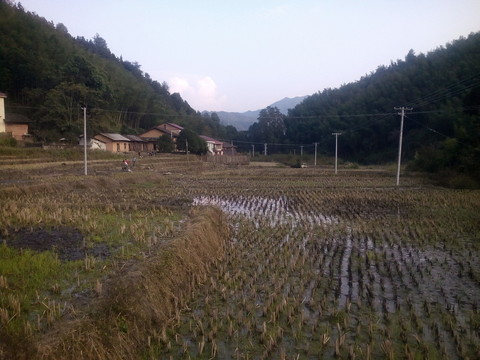冬天的田野