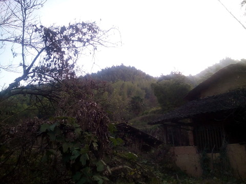 山村風(fēng)景