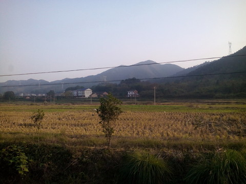 冬天的田野