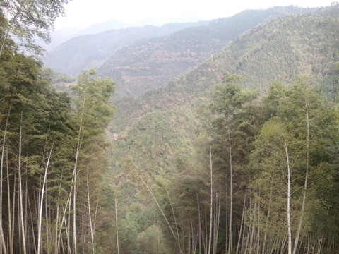 連綿的群山