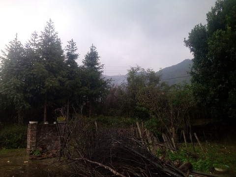 鄉(xiāng)村景色