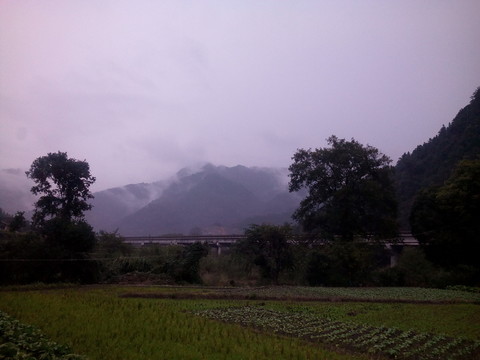 鄉(xiāng)村霧氣