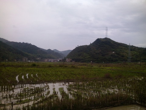 田野山丘