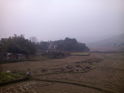冬天的莊稼地