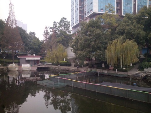 公園一角