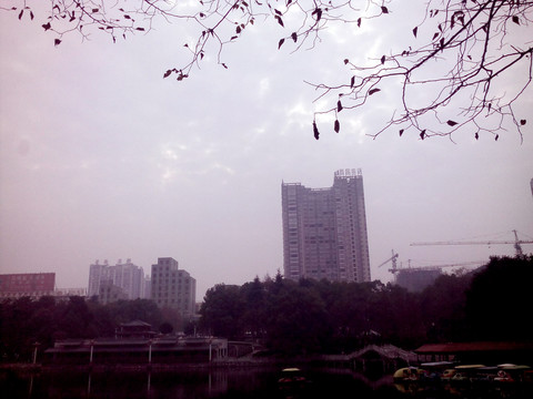 公園風(fēng)景