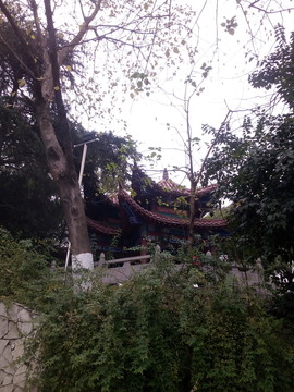 林中小亭