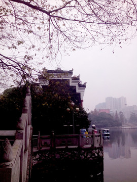 樹(shù)枝古建筑