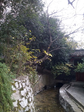 公園一角