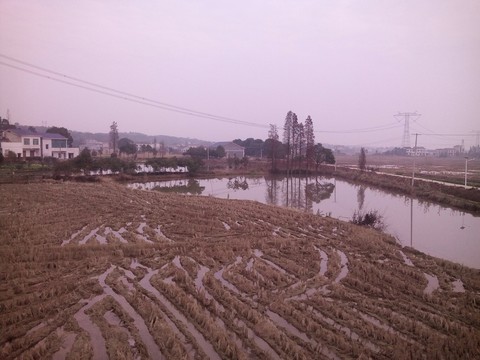 冬天的田野
