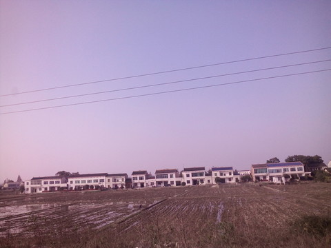 希望的田野