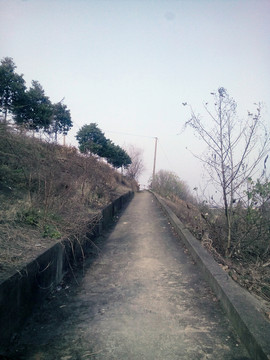 河岸邊的路