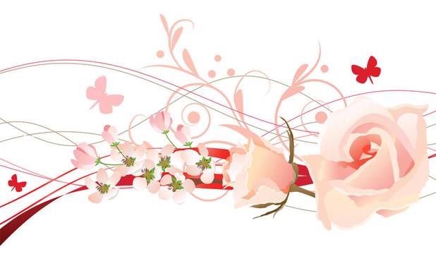 與rosees蝴蝶花的設(shè)計(jì)元素