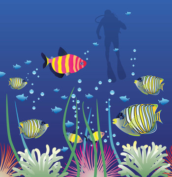 熱帶魚(yú)和潛水者