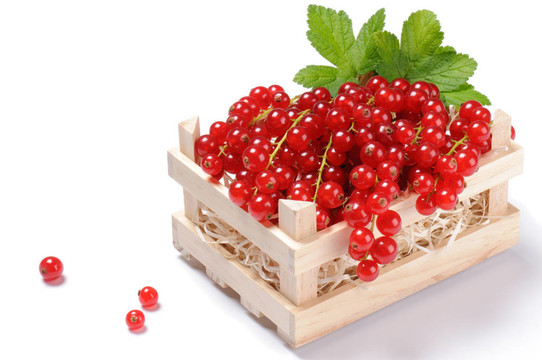 小木箱裝滿紅醋栗
