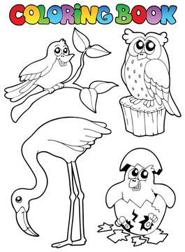 鳥書