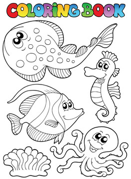 海洋動物著色書3