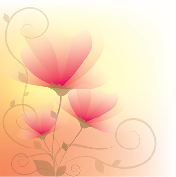 花的摘要