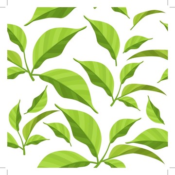 無縫圖案與新鮮綠葉白色