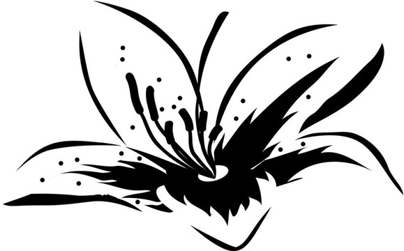 大黑白百合花圖標(biāo)