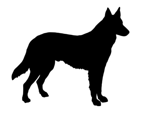 牧羊犬的黑色剪影